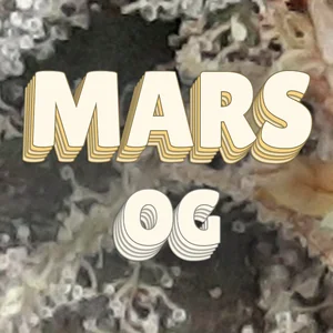 Mars OG Cannabis Strain