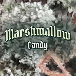 Marshmallow Candy Cannabis Strain