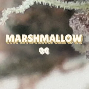 Marshmallow OG Cannabis Strain