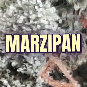 Marzipan Cannabis Strain