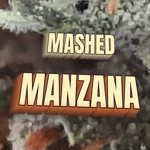 Mashed Manzana Cannabis Strain