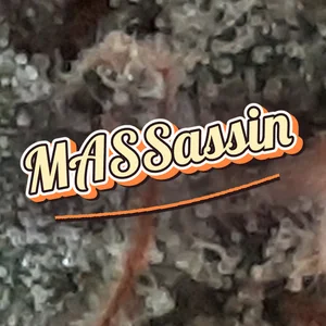 MASSassin Cannabis Strain