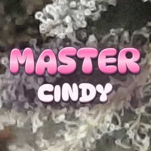 Master Cindy Cannabis Strain