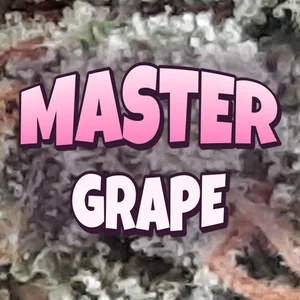 Master Grape Cannabis Strain