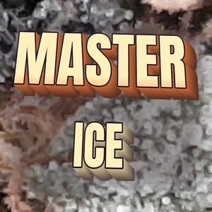 Master Ice Cannabis Strain
