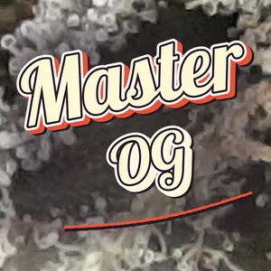 Master OG Cannabis Strain