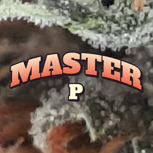 Master P Cannabis Strain