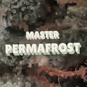 Master Permafrost Cannabis Strain