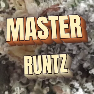 Master Runtz Cannabis Strain