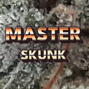 Master Skunk Cannabis Strain