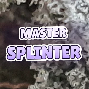 Master Splinter Cannabis Strain