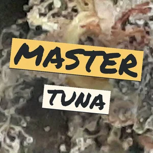 Master Tuna Cannabis Strain