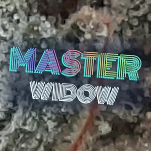 Master Widow Cannabis Strain
