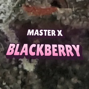 Master x Blackberry Cannabis Strain