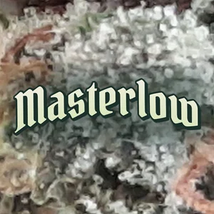 Masterlow Cannabis Strain