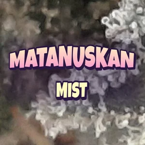 Matanuskan Mist Cannabis Strain