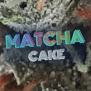 Matcha Cake Cannabis Strain