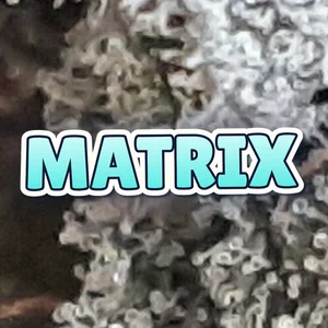 Matrix Cannabis Strain