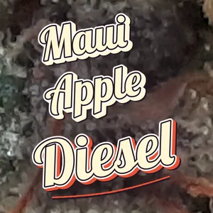 Maui Apple Diesel Cannabis Strain