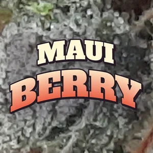Maui Berry Cannabis Strain