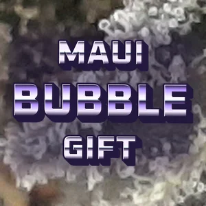 Maui Bubble Gift Cannabis Strain