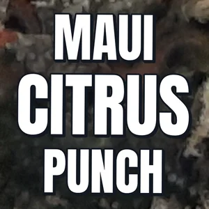 Maui Citrus Punch Cannabis Strain