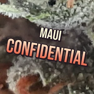 Maui Confidential Cannabis Strain