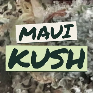 Maui Kush Cannabis Strain