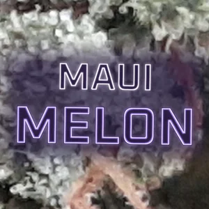 Maui Melon Cannabis Strain
