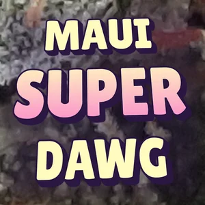 Maui Super dawg Cannabis Strain