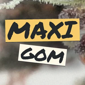 Maxi GoM Cannabis Strain