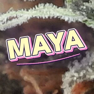 Maya Cannabis Strain