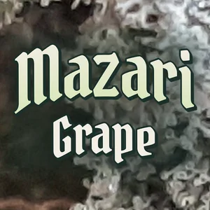 Mazari Grape Cannabis Strain