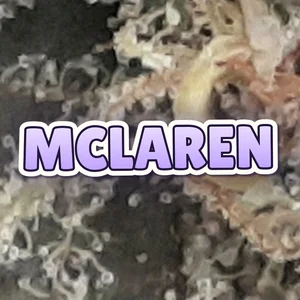 McLaren Cannabis Strain