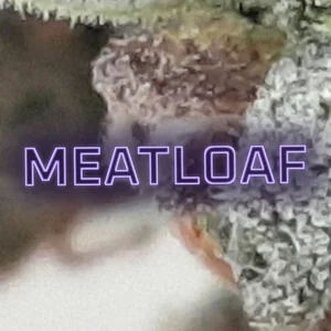 Meatloaf Cannabis Strain
