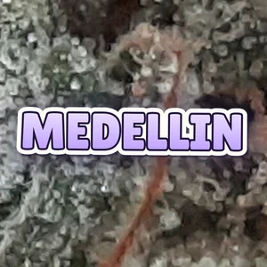 Medellin Cannabis Strain
