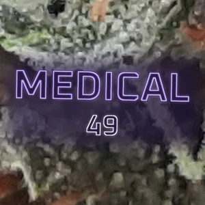 Medical 49 Cannabis Strain