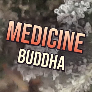 Medicine Buddha Cannabis Strain