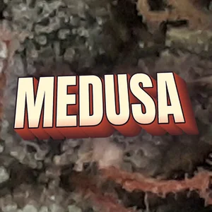 Medusa Cannabis Strain