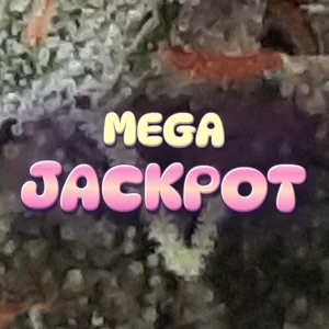 Mega Jackpot Cannabis Strain