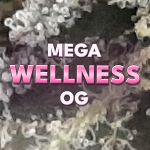 Mega Wellness OG Cannabis Strain