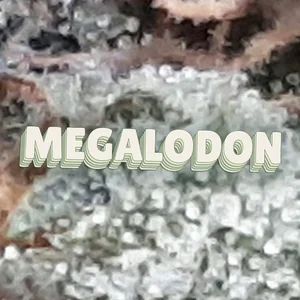 Megalodon Cannabis Strain