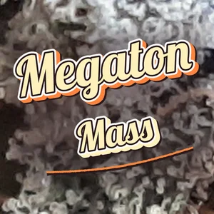 Megaton Mass Cannabis Strain