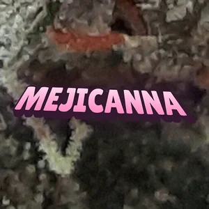 Mejicanna Cannabis Strain
