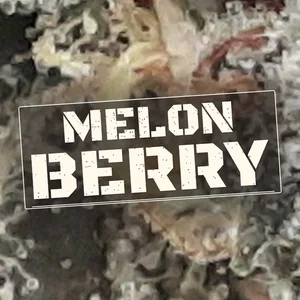 Melon Berry Cannabis Strain