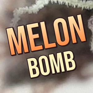 Melon Bomb Cannabis Strain