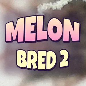 Melon Bred 2 Cannabis Strain