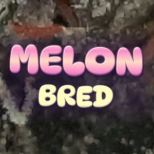 Melon Bred Cannabis Strain