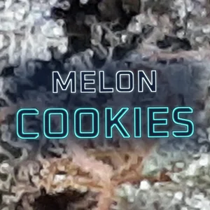 Melon Cookies Cannabis Strain