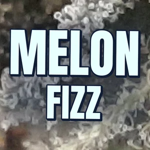 Melon Fizz Cannabis Strain